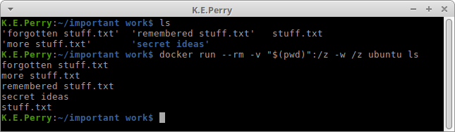 Running ls inside the docker environment now displays our local filesystem.